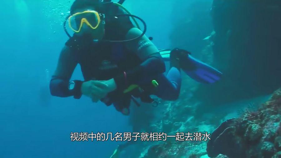 老鹰逃生